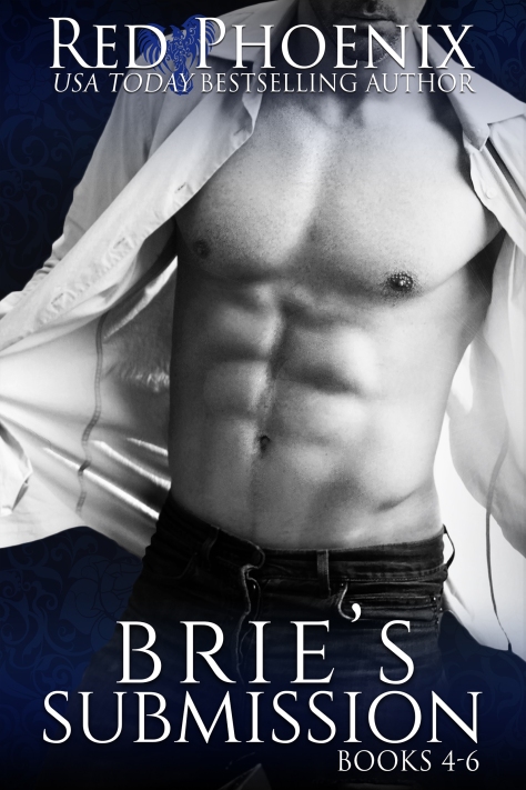 bries-submission-4-6-amazon