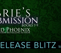 Release Blitz:  Brie’s Submission – Red Phoenix
