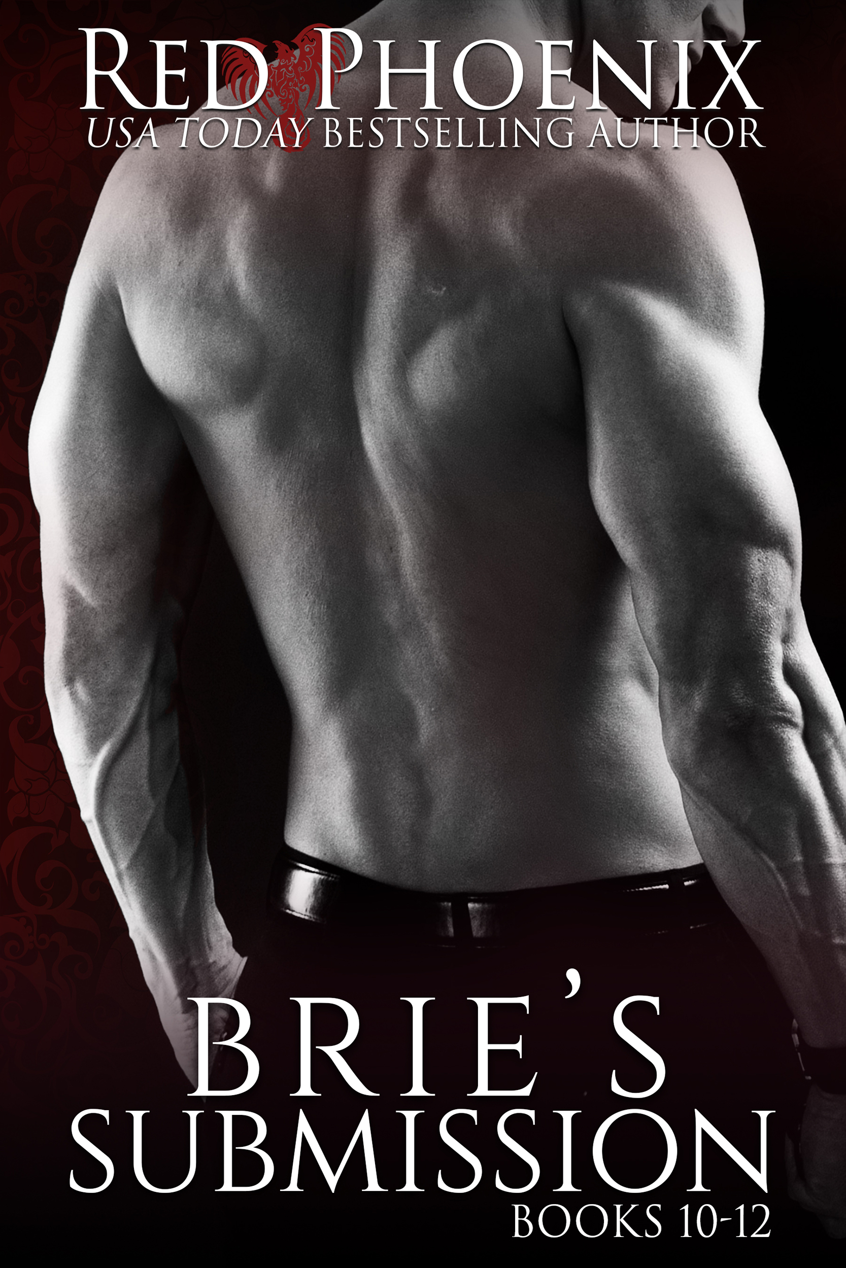 Brie's Submission-10-12-AMAZON