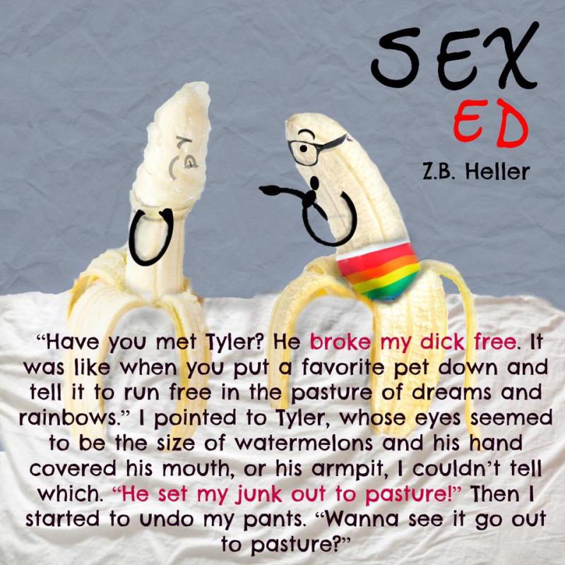 SexEdTeaser